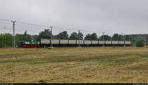Kohlezug mit 4-1262 (LEW EL2m) westlich der Bärenbrücker Höhe bei Teichland.

🧰 Lausitz Energie Bergbau AG (LEAG)
🚩 Kohleverbindungsbahn Lausitz
🕓 28.8.2021 | 8:51 Uhr