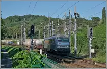 Die SNCF BB 26067  Sybic  passiert zwischen Pougny-Chancy und La Plaine kurz vor der Landesgrenze Frankreich / Schweiz die Systemwechselstelle zwischen der SNCF und SBB. 

6. September 2021