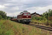 232 088 (Salzland Rail Service GmbH) war am 26.08.21 in Pößneck oberer Bahnhof zu sehen.