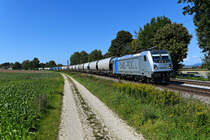 Klassisch für die Donau-Achse sind die zahlreichen Getreidezüge von und nach Osteuropa. Am 03. September 2021 begegnete mir eine solche Leistung bei Langenisarhofen. Es führte die an die ČD Cargo vermietete 187 003 von Railpool. 