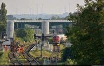 Bahnhof Staßfurt: Während auf Gleis 1 Bauarbeiten laufen, zieht 227 003-1 (NOHAB MY 1131  Malene ) mit Gaskessel- und Containertragwagen auf Gleis 3 vor.
Tele-Aufnahme von der Brücke Schlachthofstraße (L 72). Im Hintergrund deutet sich schon die Mansfelder Landschaft an.

🧰 DB Bahnbau Gruppe GmbH | Altmark-Rail GmbH
🚩 Bahnstrecke Schönebeck–Güsten (KBS 335)
🕓 14.9.2021 | 17:17 Uhr