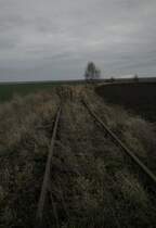 KSB Strecke  180f, bei Fienstedt, Blick in östliche Richtung. 01.01.2022  10:52 Uhr.