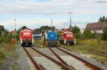 Dieselpower 294_762 D03 Regentalbahn (Mak G 1202) und 294_799 in Feierabendstimmung im Ladehof oder das was noch �brig geblieben ist dank Mora C 17.08.07