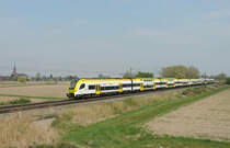 Friesenheim - 14. April 2022 : 1462 503 + 508 am RE 17015 von Offenburg nach Basel.