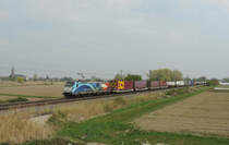 Friesenheim - 14. April 2022 : 185 502  Salzgitter Mannesmann  mit einem KLV in Richtung Basel..