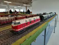 DR 118 296-3 am 16.04.2022 auf der Anlage der IG-Spur1-Mitteldeutschland in Naumburg (S).