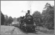 Eb 3/5 5819 mit gut besetztem Dampfzug bei Boncourt im Schweizer Jura. (Archiv 06/77)