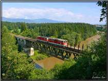 Zwei Dieselloks 2143 fahren  mir einem leeren Holzzug �ber die Murbr�cke bei Zeltweg
31.08.2007