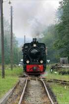 Lok 60  Bieberlies  vor der Einfahrt in den Bahnhof H�inghausen, das Ziel einer Sonderfahrt der HEG am 02.09.2007.