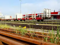 Laaprs 21 81 4395 040-8; verlässt als Leerwagen am Zugschluß den Bhf. Ried; 220502