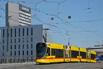 Be 6/10 Tango 181, auf der Linie 11, überquert am 14.06.2023 die Münchensteinerbrücke.