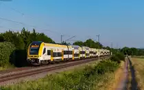 1462 003 und 1462 010 als RE 17003 (Offenburg - Basel Bad Bf) bei Köndringen 9.6.23