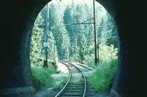 Stubaitalbahn__Tunnelausfahrt zur Mutterer Brücke.__18-08-1973