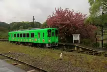 Die Heisei Chikuhô Bahn: Einst war das Chikuhô-Gebiet im Nordosten der Insel Kyûshû ein Zentrum des Kohlebergbaus mit unzähligen Gruben und einem ausgedehnten Eisenbahnnetz zum Abtransport der riesigen Mengen von Kohle. In Minutenabständen donnerten die schweren Kohlezüge durch das Chikuhô-Gebiet. Die Häuser waren eher armselig, viele kegelförmige Halden markierten die Landschaft. Doch 1976 wurde die Kohleförderung im letzten Bergwerk stillgelegt. Danach setzte Zerfall ein, und viele der Bahnlinien verschwanden. Die damalige Staatsbahn betrieb nur noch einige der zentralen Strecken und übergab drei weitere Strecken (die einmal Hauptstrecken waren) einer lokalen Trägerschaft als Drittsektor-Bahn. Diese lokale Bahn nahm 1989 den Betrieb auf, und da gerade ein neuer Kaiser, der seiner Regierungszeit den Namen  Heisei  gab, auf den Thron kam, nannte sich die neue kleine Bahn im Chikuhô-Gebiet  Heisei Chikuhô  Bahn. Sie betreibt heute eine 42, 4 km lange Strecke durch die Herzen des alten Kohlereviers (mit den Städten Nôgata und Tagawa Ita) und hinaus an die Ostküste von Kyûshû. Dazu kommt eine 16, 1 km lange Verbindung zur Stadt Tagawa Gotôji. Im Bild steht Triebwagen 411 in Yusubaru auf dem Ostteil der Strecke, 15.April 2023.     