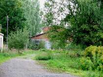 Das Thumer BW-Gel�nde w�chst immer mehr zu. Man hat den Eindruck, dass die Natur den Lokschuppen vor Abrissgierigen verbergen m�chte, 07.09.07