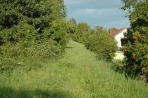 Noch deutlich ist das Trasse der ehemaligen Schipkapassbahn (NOB/SBB) zu erkennen. Die Bahn wurde 1877 er�ffnet und 1968 stillgelegt. Sie f�hrte von Otelfingen nach Niederglatt. Auf beiden Seiten wurden Teile der Strecke noch f�r Zufarten der Tanklager genuzt (das Tanklager Otelfingen wurde abgerissen). Im Dorf Buchs ist das Bahntrasse nicht mehr zu erkennen. Von den total 12.7 km langen Strecke fehlen etwa 4 km. Aufgenommen am 5.8.07 zwischen Otelfingen und Buchs.