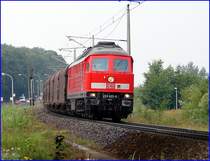 233 622-0 mit  FE45429 aus Rostock Seehafen kurz hinter dem Hp Stralsund Gr�nhufe. am 08.08.07 