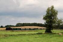 99 783 (Rasender Roland) mit dem P106 bei Serams (R�gen) [29.07.2007]