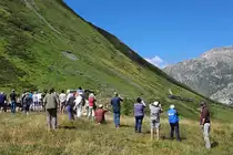 Die Fahrgäste des Dampfzuges von Realp nach Oberwald warten in Muttbach-Belvédère auf den Gegenzug und nutzen die Gelegenheit, diesen fotografisch festzuhalten. Muttbach, 24.7.2022
