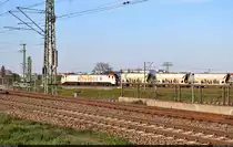 Auf anderer Strecke:
Von der Halle Messe kommend, transportiert 159 001-7 (Stadler Eurodual) Wagen mit Kies entlang der Leipziger Chaussee (B 6) Richtung Zugbildungsanlage (ZBA) Halle (Saale).

🧰 Havelländische Eisenbahn AG (HVLE)
🕓 3.5.2023 | 18:49 Uhr