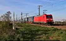 KLV-Zug (LKW Walter Internationale Transportorganisation AG) mit 185 164-1 überquert in Halle (Saale) die Leipziger Chaussee (B 6) Richtung Abzweig Thüringer Bahn.

🧰 DB Cargo
🕓 3.5.2023 | 19:17 Uhr