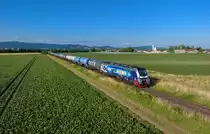 159 210 mit einem Kesselzug am 29.06.2023 bei Pankofen. 