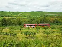Mainschleifenbahn__KBS 12818 (seit 2019) ex KBS 418a. Schienenbus-Garnitur nahe Haltepunkt 'Vogelsburg'. Weinberge, Birnen-, Quitten- Und Zwetschgen- Plantagen  prägen hier das Landschaftsbild.__13-08-2023