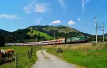 Am 15. August 2023 war die für den österreichischen Bierproduzenten Gösser Werbung tragende 1016 021 dem EuroCity 163  Transalpin  (Zürich HB - Graz Hbf) auf dem Abschnitt Buchs SG 
 - Selzthal vorgespannt und konnte in der Berglandschaft bei Hochfilzen aufgenommen werden.