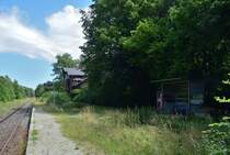 Blick über den Haltepunkt Göhrde.  Bis in die 50er Jahre gab es hier noch Kreuzungsgleise und 2 Stellwerke. Der Güterverkehr endete hier 1988.

Göhrde 15.08.2023