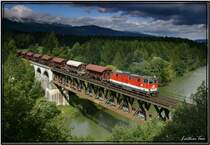 Diesellok 2143 044 f�hrt mit einem G�terzug �ber die Murbr�cke bei Zeltweg.
11.09.2007