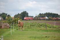 11.09.2007 189 056-5 zwischen Priestewitz und Niederau Richtung Dresden unterwegs.