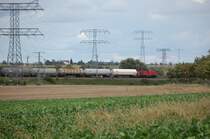 11.09.2007 290 502-4 von Priestewitz kommend nach Dresden unterwegs.