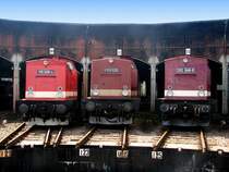 Drei Farbgebungen und Nummern f�r die Petroleum P8 (V100)v.l.n.r,112 326-4,V100 025 und 202 646-6 in Chemnitz-Hilbersdorf.25.08.07.