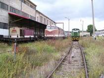 Verschiedene Lokomotiven abgestellt im Zementwerk Karsdorf; 08.09.2007 