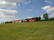 294 745 mit einer kurzen �bergabe zwischen Hirschau und Gebenbach. (30.08.2007)