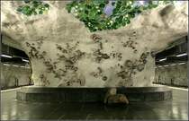 Blaue Linie nach Akalla, Station  Näckrosen  - 

Künstlerische Ausgestaltung dieses Bahnhofes. 

24.08.2007 (M)