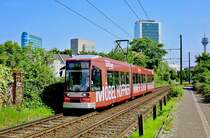 Düsseldorf 2110, Am Kuhtor, 13.08.2024.
