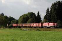 294 767 mit FZT 56424 bei Aitrang (13.08.2007)