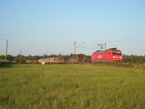 Auch wenn ich wohl Gefahr auflaufe, geschlachtet zu werden, m�chte ich auch dieses Bild zeigen, da mir pers�nlich die Lichtstimmung ganz gut gef�llt. 185 021 mit einem GZ auf der KBS 700 zwischen Neulu�heim und Wagh�usel, 23.09.07.