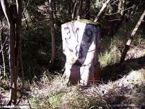 Kilometerstein 219,8.Leider hier nicht gut erkennbar,aber es gab tats�chlich einmal 2 Gleise.