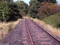 Dieser Blickwinkel sagt ja wieder alles aus,leider ist die Strecke stillgelegt.Kurz vor km 220 ist dieses noch relativ freie St�ck der KBS 249.
