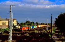 Satzkorn, 09.09.2006.
