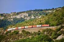 SŽ 541 009, Dol pri Hrastovljah, 28.08.2024.
