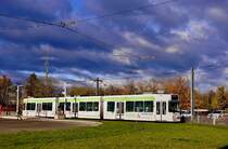 Freiburg 242, Schleife Messe, 20.11.2024.
