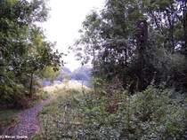 Die KBS 249 kurz vor der Weserbr�cke F�rstenberg(im Hintergrund).
Rechts ein schon reichlich ramponiertes B� Signal der alten Bauart f�r den B� Boffzen 1.
