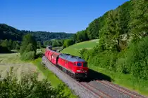 233 521 DB Cargo mit GA 44330 (Kadaň - Nürnberg Rbf) bei Vorra, 14.06.2021
