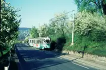 END Straßenbahn Esslingen-Nellingen-Denkendorf_Die aber auch nach Scharnhausen und Neuhausen fuhr.__Neubauzug [ME 1958] nach Denkendorf kurz vor der Ausweichhaltestelle 'Zollberg'.__09-04-1974 