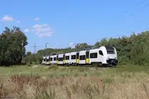 460 006-0 (TransRegio) in Ratingen Lintorf, 24. August 2024