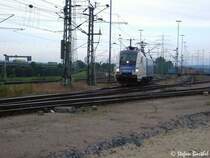 ES 64 U2 - 021 hat nicht die normale Farbgebung der Siemens Dispoloks. Sie fhrt in den Farben blau / creme. Hier bringt sie gerade einen Containerzug nach Waltershof.
Juni 2004