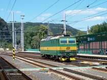 163 085 bei Durchfahrt in Decin (Tetschen-Bodenbach) - 07.07.2004
